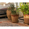 Bloempot met schaal Alexandra House Living Bruin Cement Rustiek 20 x 18 x 20 cm