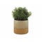 Bloempot Alexandra House Living Beige Kameel Keramisch 13 x 13 x 13 cm