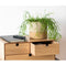 Bloempot Alexandra House Living Beige Kameel Keramisch 13 x 13 x 13 cm