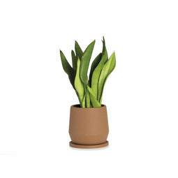 Bloempot met schaal Alexandra House Living Terra cotta Keramisch 18 x 18 x 18 cm