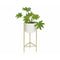 Bloempot met standaard Alexandra House Living Wit Gouden Metaal 27 x 65 x 27 cm