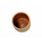 Bloempot met schaal Alexandra House Living Beige Keramisch 18 x 18 x 18 cm