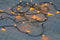 Anna's Collection - Glow Led Classic 80L8Mtr - 10M Leadcable Black