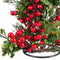 Kroonkandelaar Rood Groen Metaal Plastic Kerstmis 15 x 15 x 25 cm
