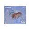 Kinder Make-up Set Disney Princess Ariel