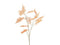 Hortus - Kunsttak asparagus orange, 135 cm