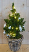 Warentuin Natuurlijk - Echte kerstboomje 40 cm in mand met verlichting zilver