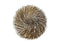 Unique Living - Placemat clara d38 cm koper