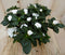 Warentuin Natuurlijk - Kamerplant Azalea wit groot