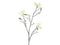 Hortus - Kunstbloem magnolia vidar cream, 86 cm