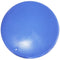 FitPAWS Dierenbalansschijf 36 cm blauw