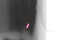 Brabantia Bo Touch Bin Hi Prullenbak - 60 liter - Matt Black
