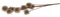 HBX Deco - Koppen glitter l75b20h5 cm lichtgoud