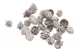HBX Deco - Denneappel spruce 2-3 cm wit