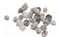 HBX Deco - Denneappel spruce 2-3 cm wit