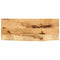 Tafelblad met natuurlijke rand 80x40x3,8 cm massief mangohout