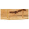 Tafelblad met natuurlijke rand 80x40x3,8 cm massief mangohout