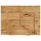 Tafelblad met natuurlijke rand 90x60x3,8 cm massief mangohout