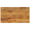Tafelblad rechthoekig 100x70x2,5 cm massief mangohout