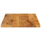 Tafelblad rechthoekig 100x70x2,5 cm massief mangohout