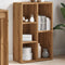 Boekenkast 45x25x80 cm bewerkt hout artisanaal eikenkleur