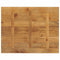 Tafelblad rechthoekig 110x80x2,5 cm massief mangohout