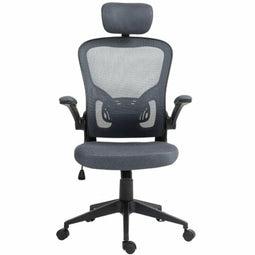 Bureaustoel Owlotech Grijs