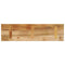 Tafelblad rechthoekig 120x20x2,5 cm massief ruw mangohout