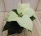 Warentuin Natuurlijk - 2 stuks! Kerstster mini geel