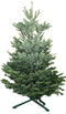 Warentuin Natuurlijk - Kerstboom Warentuin Nordman B - kwaliteit Abies Nordmanniana 175 - 200 cm...