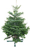 Warentuin Natuurlijk - Kerstboom Warentuin Nordman A - kwaliteit Abies Nordmanniana 125 - 150 cm...