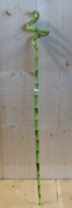 Warentuin Natuurlijk - Kerstgroen Groene bamboe tak tak decoratie