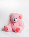 TEDDY beer 60 cm roze