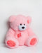 TEDDY beer 60 cm roze