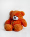 TEDDY beer 60 cm rood