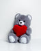 FRANK teddybeer 50 cm grijs