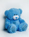 TEDDY beer 60 cm blauw