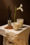 PTMD - Oud Minerale Fragrance candle + sticks