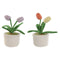 Deurhouder Home ESPRIT 14 x 14 x 30 cm (2 Stuks)