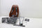 Urban Iki BIO Fietsstoeltje Achter Ta–ke Frame montage - Haniwa Brown/ Bincho Black