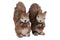 Countryfield - Eekhoorn Kalina M a2 bruin