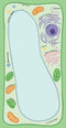 UPG Notitieblok - Microbiologie