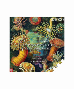 Verbeeldingspuzzel: Ernst Haeckel Zeeschepsels 1000 elementen