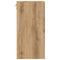 Hangkast 30x29,5x60 cm bewerkt hout artisanaal eikenkleur