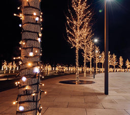 Anna's collection - Connect De Luxe 100Led Flash Warm White 10M