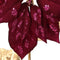 Everlands - Poinsettia fluweel l67b23h10 cm d.mv