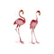 Decoratieve figuren Home ESPRIT Roze Roze flamingo Tropisch 33 X 20,5 X 89 cm (2 Stuks)