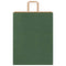 Papieren kraftzakken 50 st met hengsels 32x12x42 cm groen