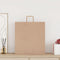 Papieren kraftzakken 250 st met hengsels 45x17x48 cm bruin