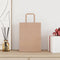Papieren kraftzakken 50 st met hengsels 21x11x28 cm bruin